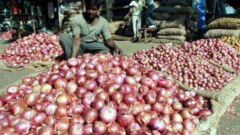 onion-price