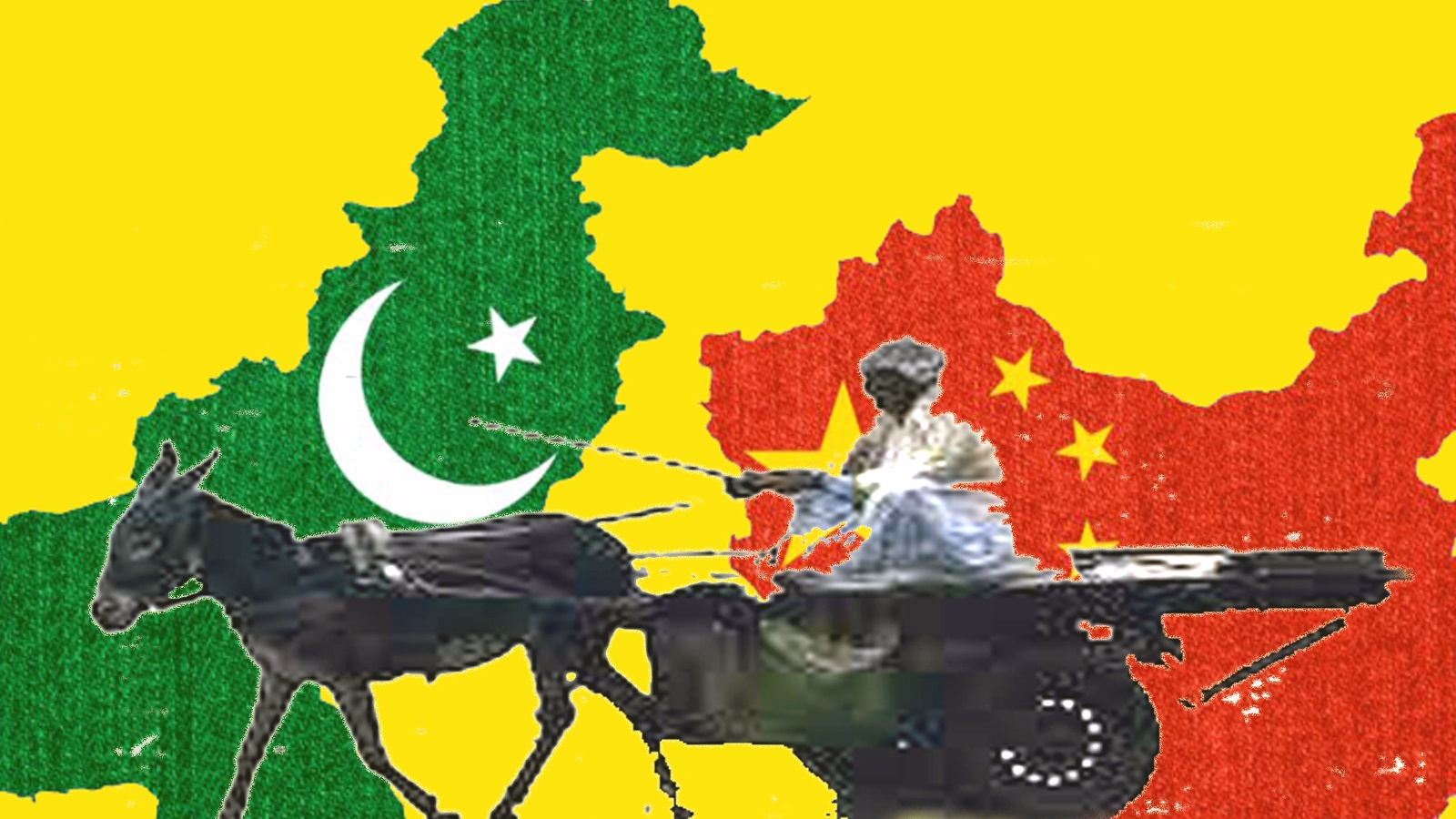 गधों (Donkey) की बढ़ती तादाद पर नियंत्रण के लिए पाकिस्तान ने चीन के साथ गधों के बारे में एक अहम करार किया है.