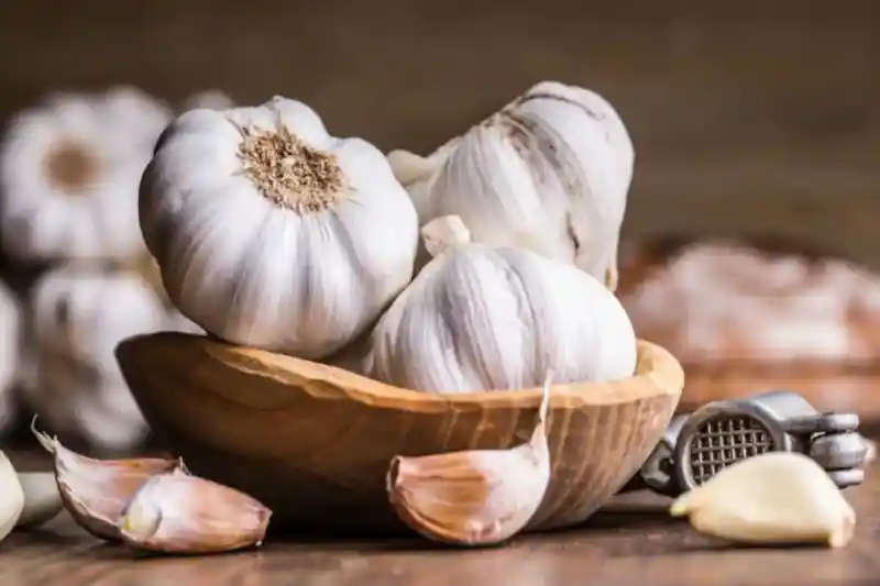 Garlic Price: लहसुन की कीमतों ने छुआ आसमान