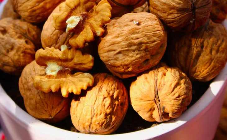 Benefits Of Walnuts: इन बीमारियों का रामबाण इलाज है अखरोट